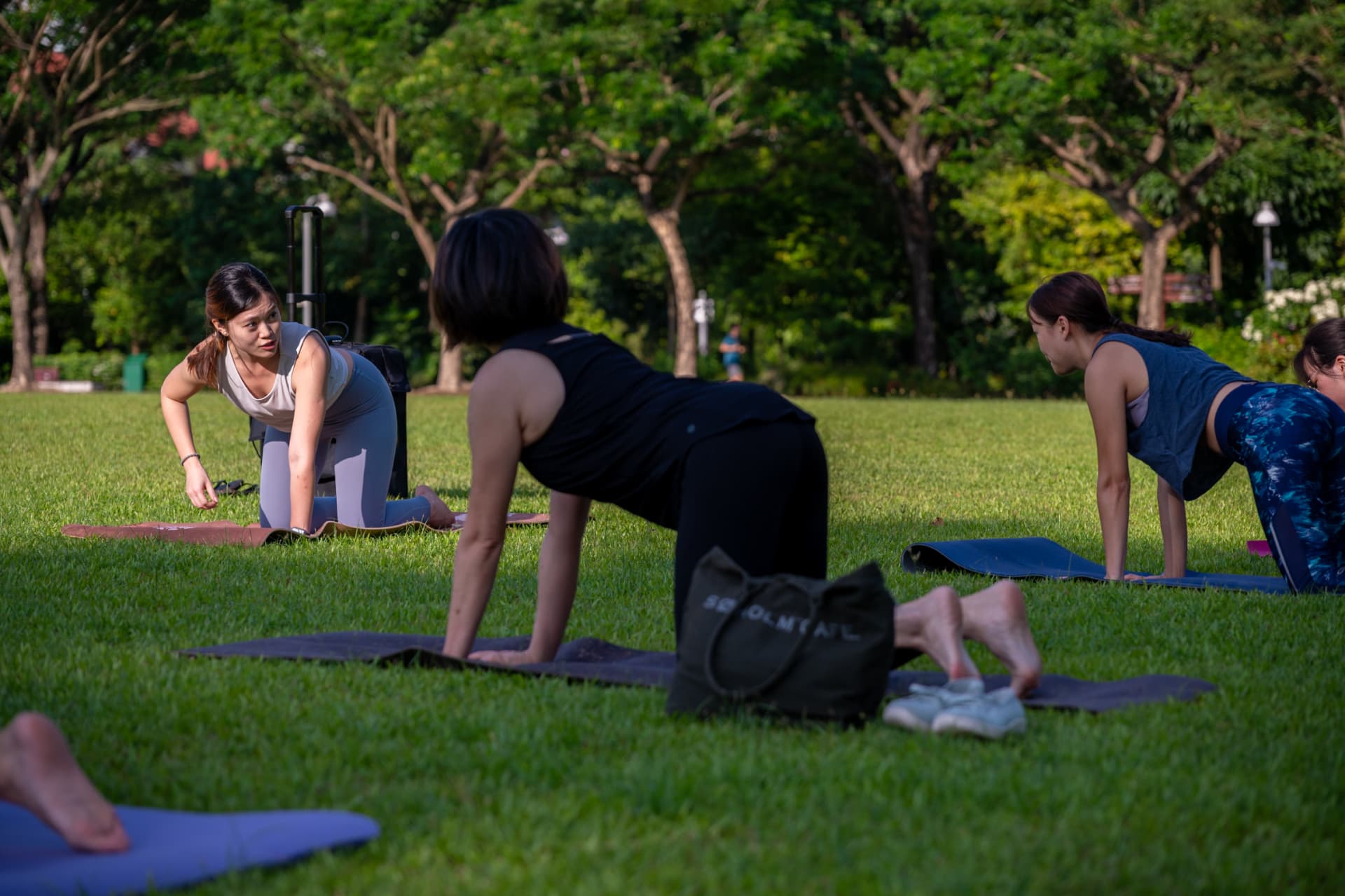 A person practising yoga on a mat in a misty green park at sunrise